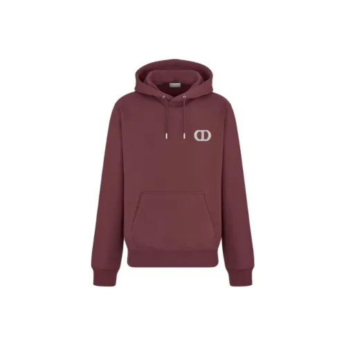 DIOR Cd Icon Drawstring Hoodie