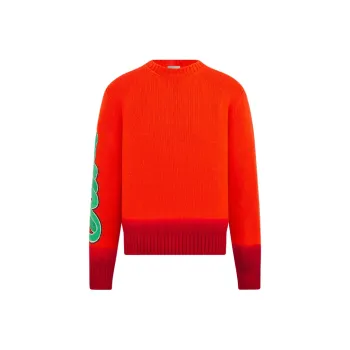 DIOR Dior And Kaws Capsule Collection SS25 Sweater Men's Orange