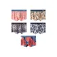 5-Pack[Leaf & Feather Art+Dune River+Leo+Dark Ink Feather+Phantom Oil Paintings]