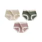[3 Pack]Light Skin+Jasper+Cameo Brown