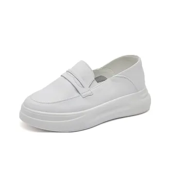 Boogie Bear Low Top Skateboard Shoes Women's