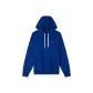 Sapphire Blue D03