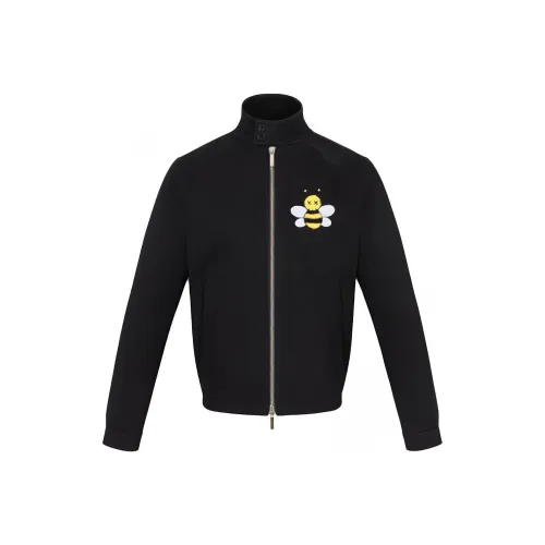 KAWS X DIOR Bee Drill Jacket