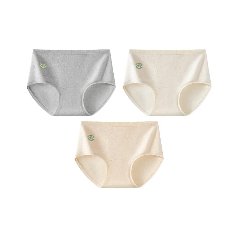 MADALLO Shorts Women's Combo Set-3