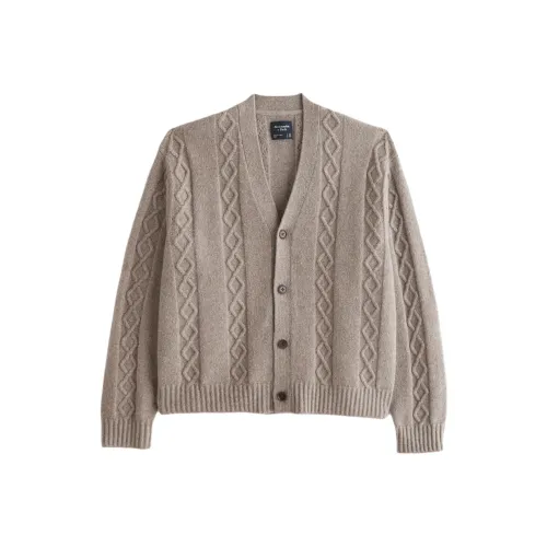 Abercrombie＆Fitch Sweaters Men Light Brown