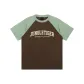 Coffee Fuse Beads Green
