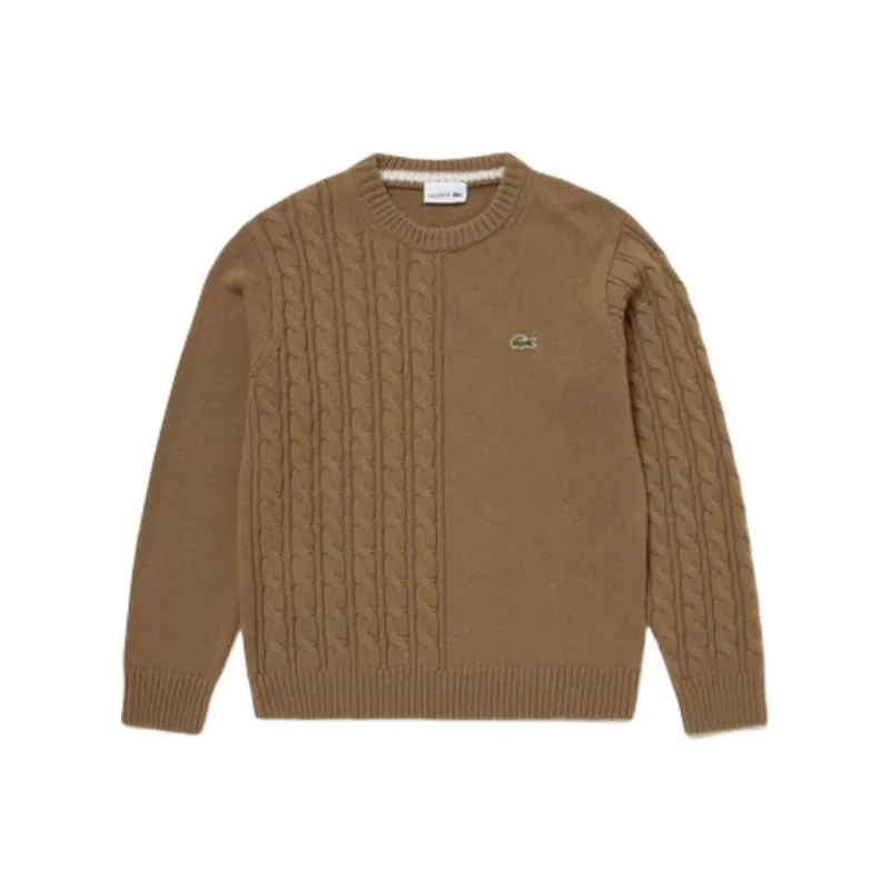 LACOSTE Sweaters Men Brown-0