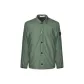 Gray Green