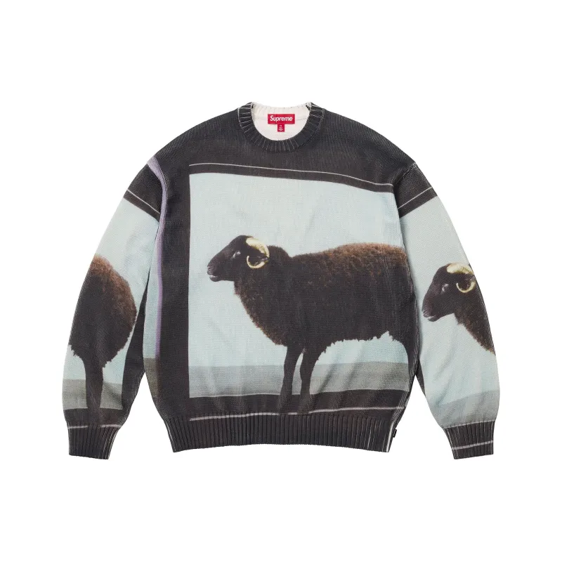 Supreme Damien Hirst Sweater-2