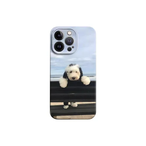 HASEE Phone Cases