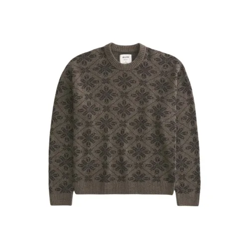 Hollister Sweater Men's Hemlock Brown