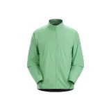 Celadon Green/Remedy