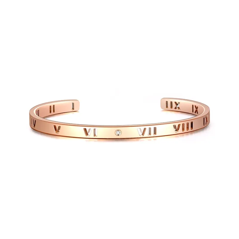 CENTURY&KINDLE 316L Titanium Steel Bangles Women's-0