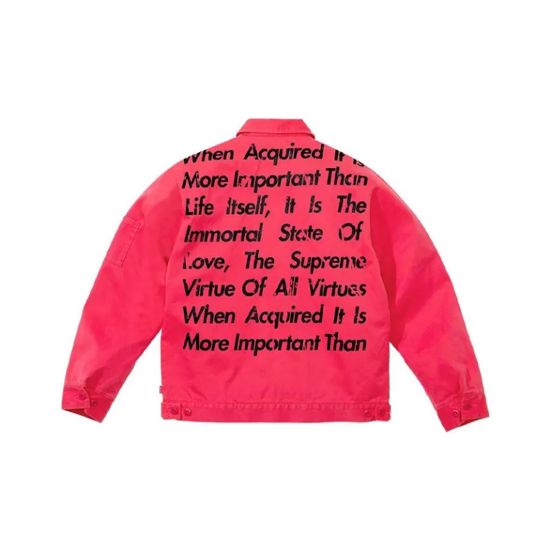 Supreme Junya Watanabe Cdg Man Printed Work Jacket-8