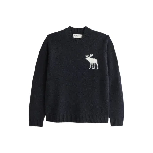 Abercrombie＆Fitch Sweater Unisex Dark Blue