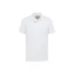 White 100