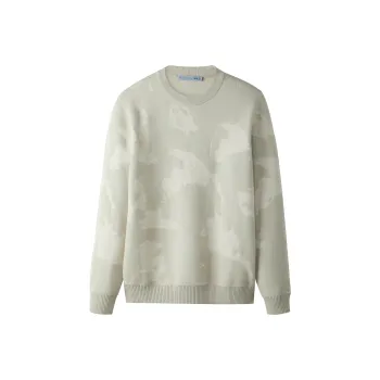 HLA Runway Same Style Crew Neck Abstract Pattern Fashion Warm Soft Knitwear Men's