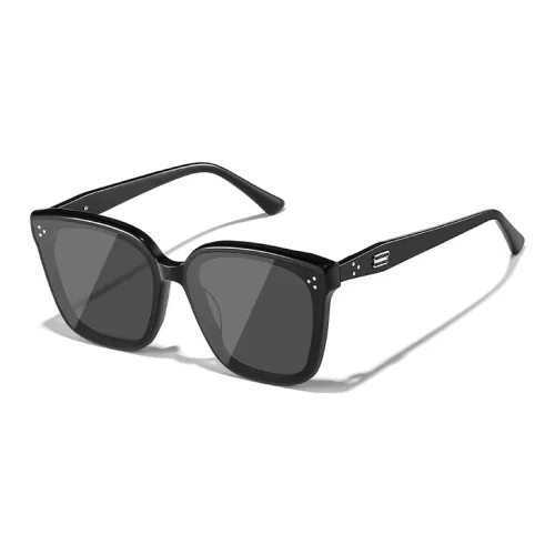 BERTHA Plate Frame Square Sunglasses Unisex Black, Gray, Tea Brown
