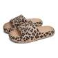 5005 Khaki Leopard Print
