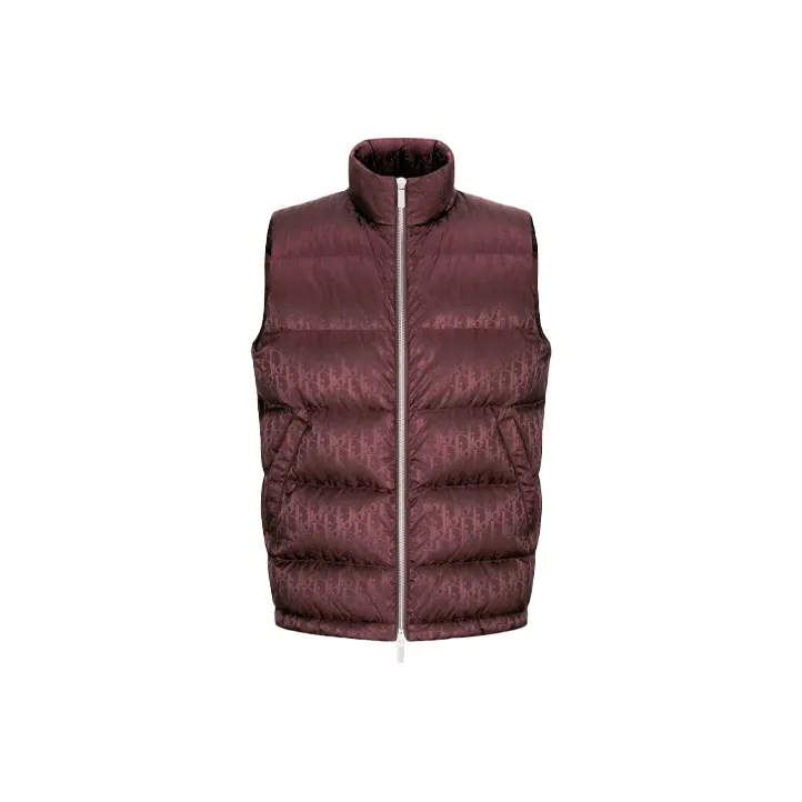 DIOR Oblique Sleeveless Down Jacket-0