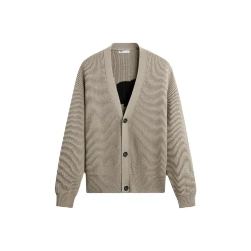 ZARA Knitwear Men Mink