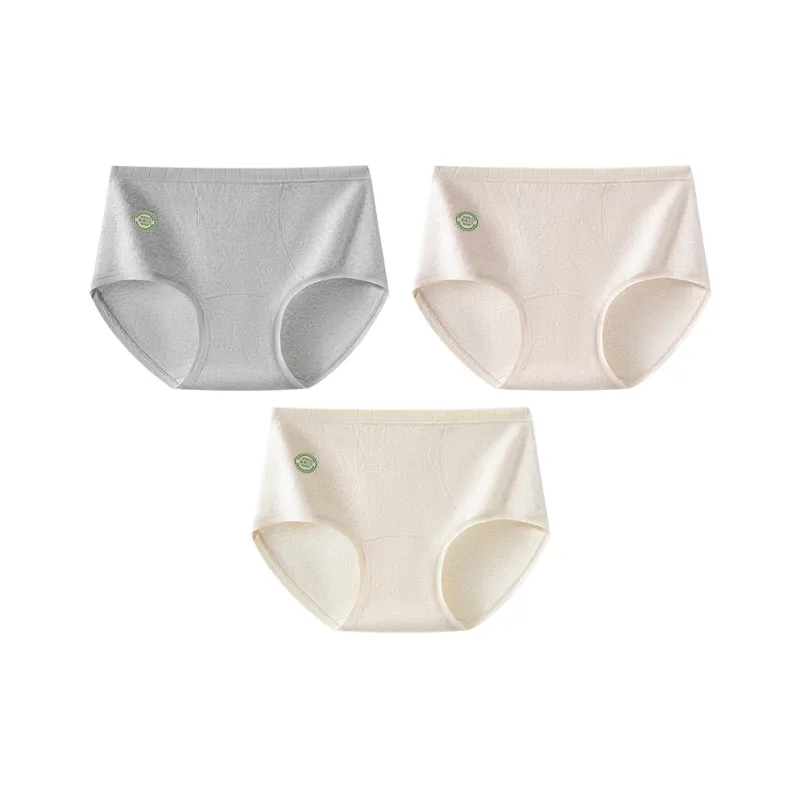 MADALLO Shorts Women's Combo Set-4