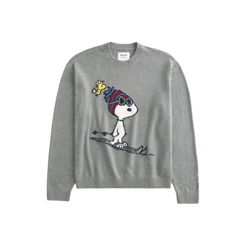Hollister Sweaters Men Gray-0