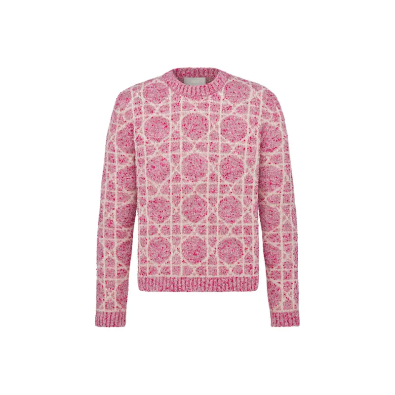 DIOR Long Sleeved Round Neck Sweater-0