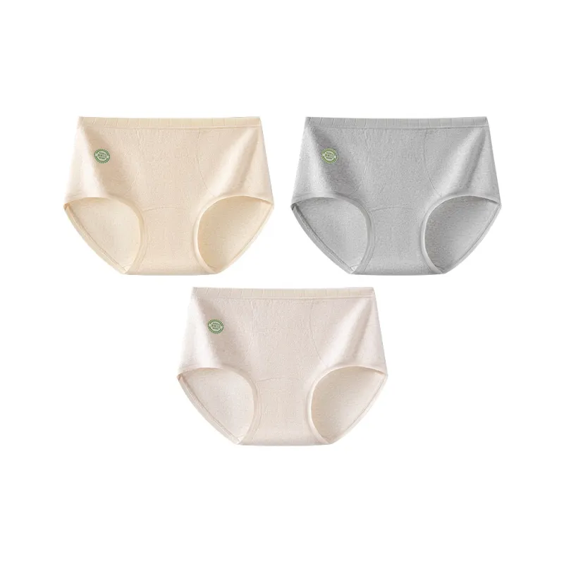 MADALLO Shorts Women's Combo Set-6