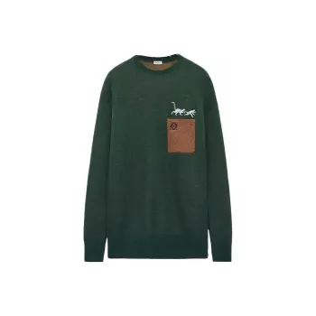 LOEWE Sweaters Men Green