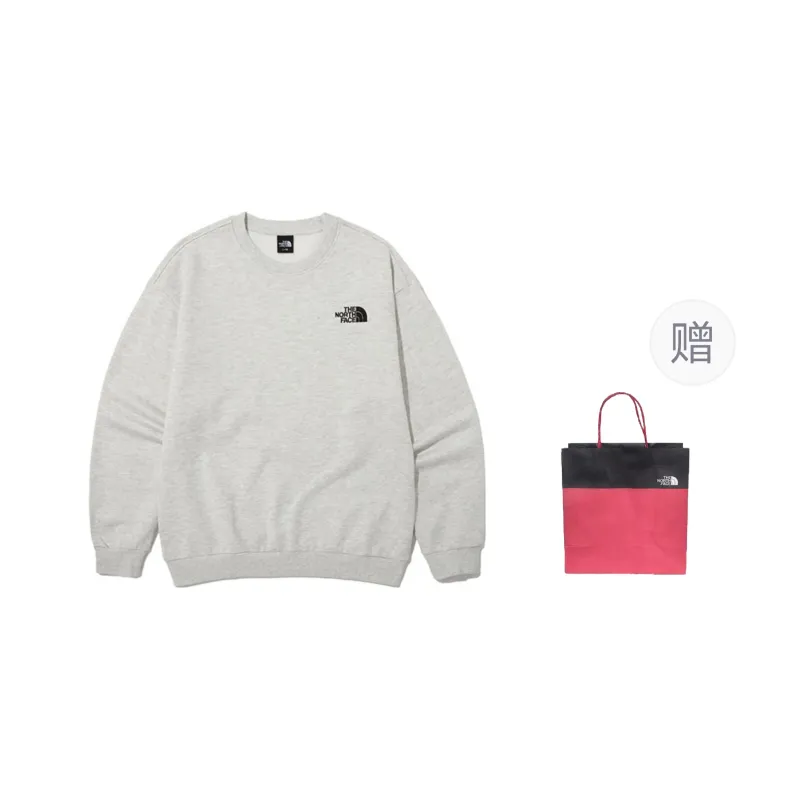 THE NORTH FACE Sweatshirt Men's Light Gray Shopping Bag Included-0