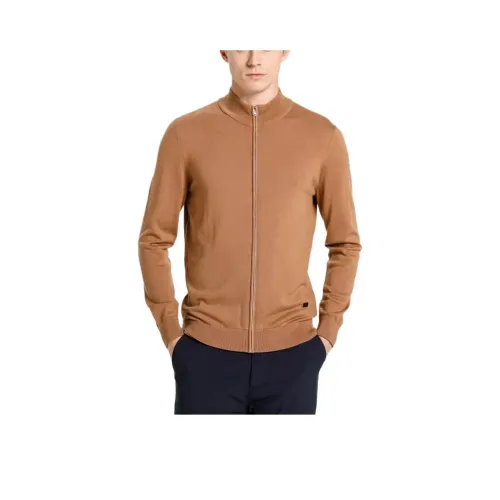 BRAUN BUFFEL Sweater Men's Camel
