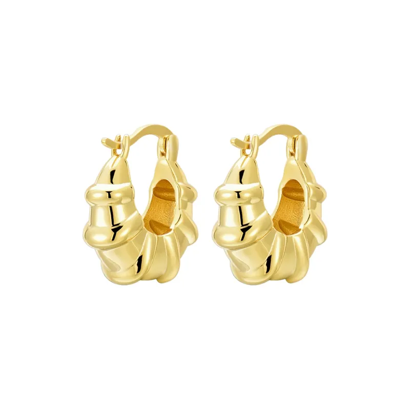 LYUMIN S925 Silver Earrings Women's-0