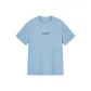 Light Ivy Blue (Heather Gray)