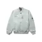 GYL/Light Gray