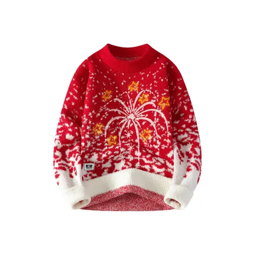 Qnxeey Sweaters Unisex