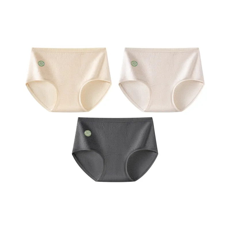 MADALLO Shorts Women's Combo Set-7