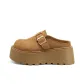 Chestnut