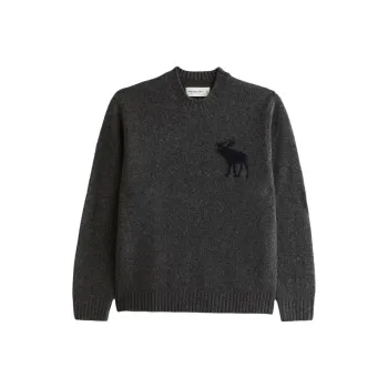 Abercrombie＆Fitch Sweater Unisex Dark Gray