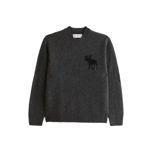 Abercrombie＆Fitch Sweater Unisex Dark Gray