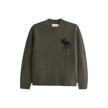 Abercrombie＆Fitch Sweater Unisex Dark Green