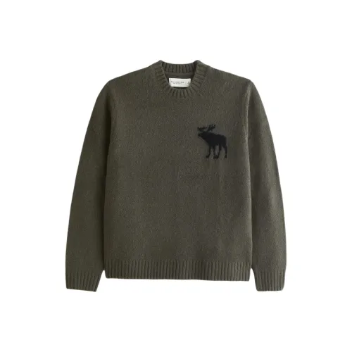 Abercrombie＆Fitch Sweater Unisex Dark Green