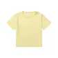 Gray Light Yellow-066C