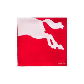Burberry Ekd Two tone Silk Scarf