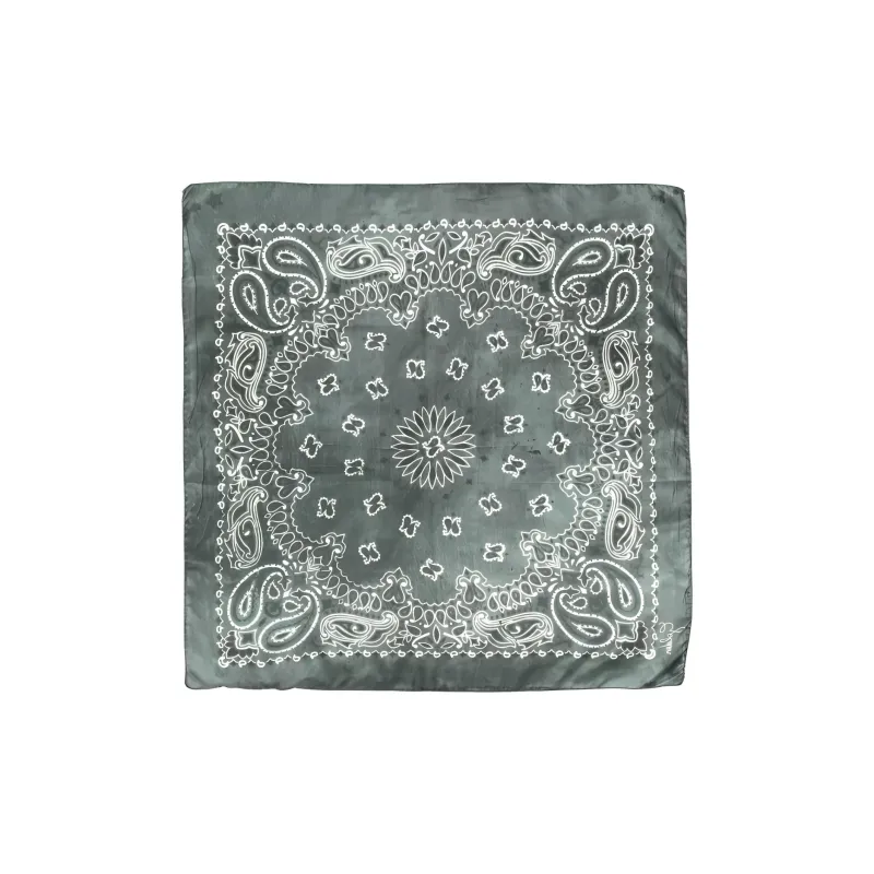 Golden Goose Paisley Printed Scarf-1