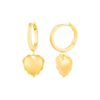 Radiant Stainless Steel Earrings Women's Gold