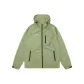 Gray Green