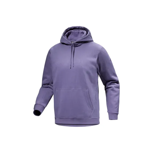 Arcteryx Emblem Bluesign Sweatshirt Men's