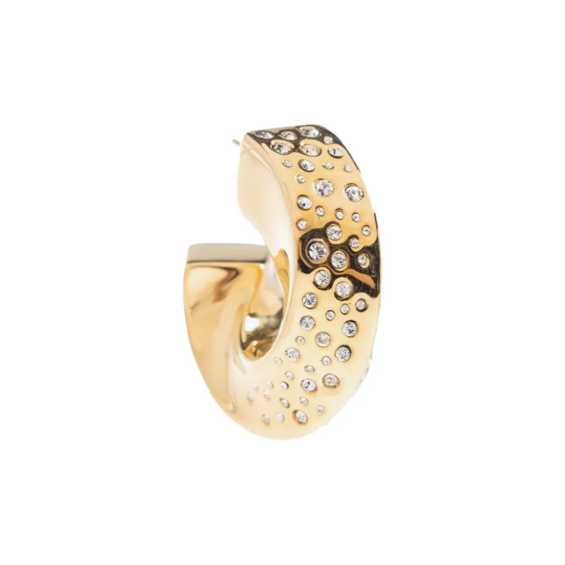 En Goose Crystal embellished Earrings-2