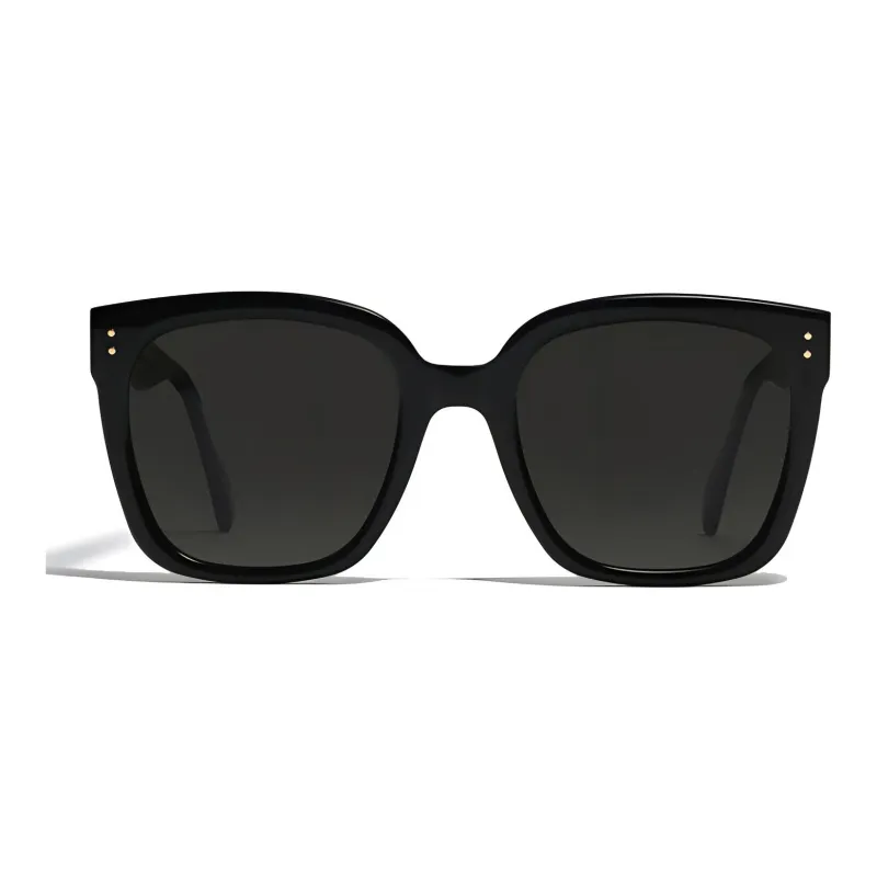 GENTLE MONSTER Sunglasses Unisex Black-1